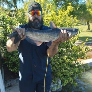 Meet your Posher, Gordon